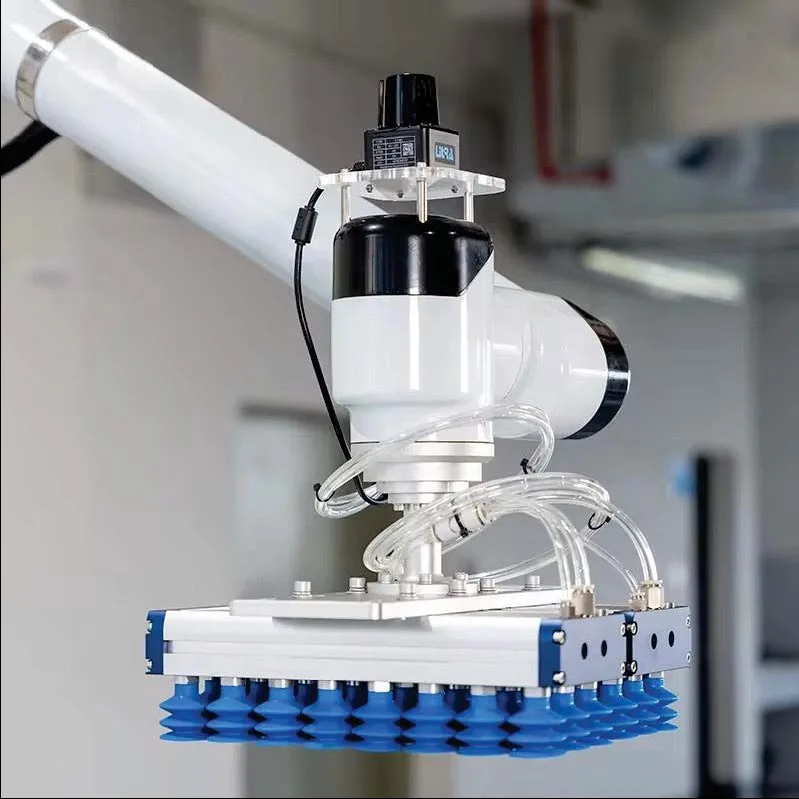 Vacuum gripper of the robotic palletizer